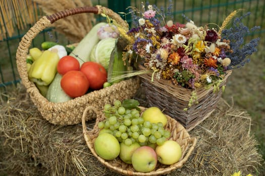 Harvest in autumn. Healthy food. Fresh food from garden.