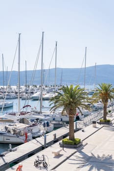 Sailing yachts moored along the pier with green palm trees. High quality photo