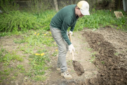 Guy is digging ground. Planting potatoes in Russia. Russian with shovel. Man prepares ground.