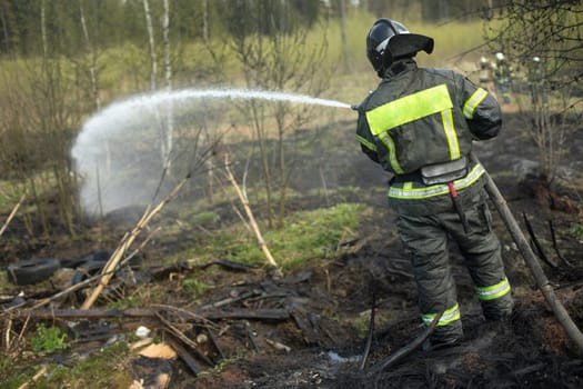 Firefighter extinguishes forest. Lifeguard pours water from hose. Work of rescue service. Elimination of fire.