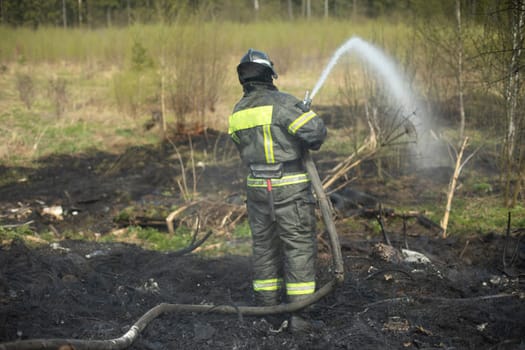 Firefighter extinguishes forest. Lifeguard pours water from hose. Work of rescue service. Elimination of fire.