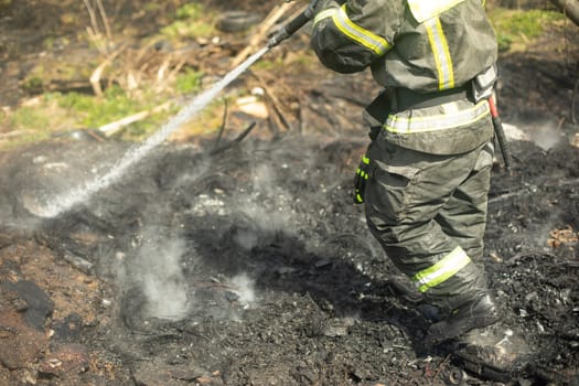 Firefighter extinguishes forest. Lifeguard pours water from hose. Work of rescue service. Elimination of fire.