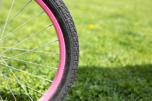 Bicycle wheel. Pink rim and protector. Wheel against background of lawn.