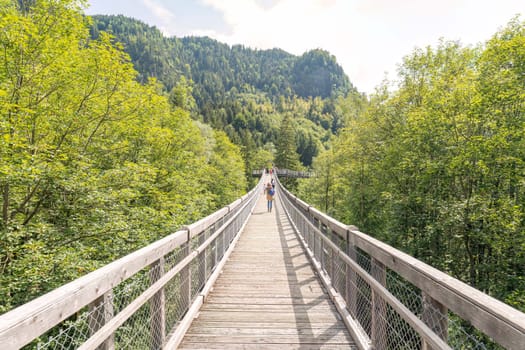 Suspension bridge next to the treetops, leading to the horizon