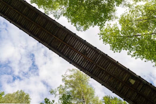 The Ziegelwies treetop path in Fuessen from below as diagonal line