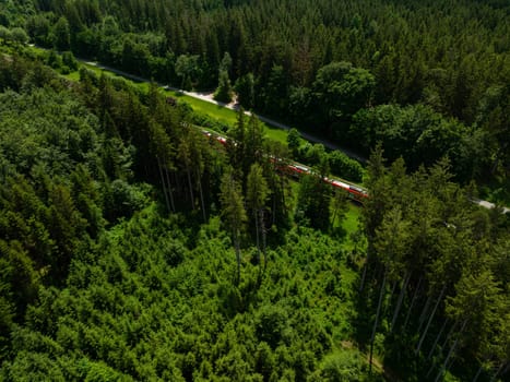 A train is driving through a green, fresh looking forest.