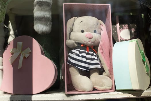 Bunny in box. Children's toy store. Soft toy hare. Gift wrapping.