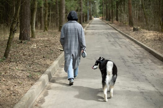 Girl with husky dog. Girl walks pet in park. Dog on leash. Road in park.