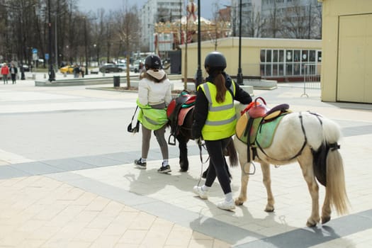 Girl with horse in town. Girl rides children on horse on street. Exploitation of ponies in metropolis. Rider walks animal.