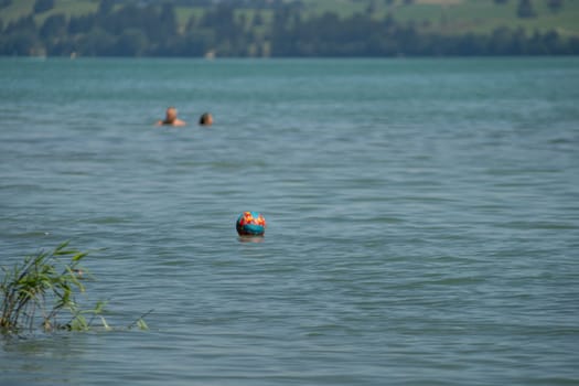 Summer Swim in the Lake with Vibrant Floating Toy