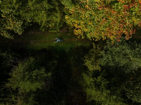 Autumnal Hues in a Forest Aerial View.