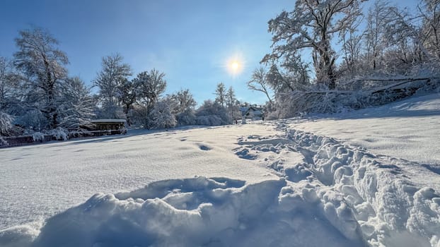 Sparkling Winter Wonderland in Sun's Embrace.