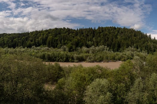 Serene Riverbed Flanked by Lush Forest Canopy.