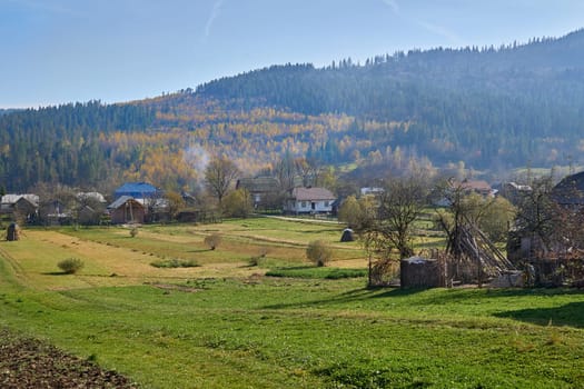 a group of houses and associated buildings, larger than a hamlet and smaller than a town, situated in a rural area