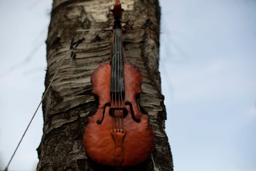 Violin on wood. Stringed musical instrument. Details of music festival. Music symbol.