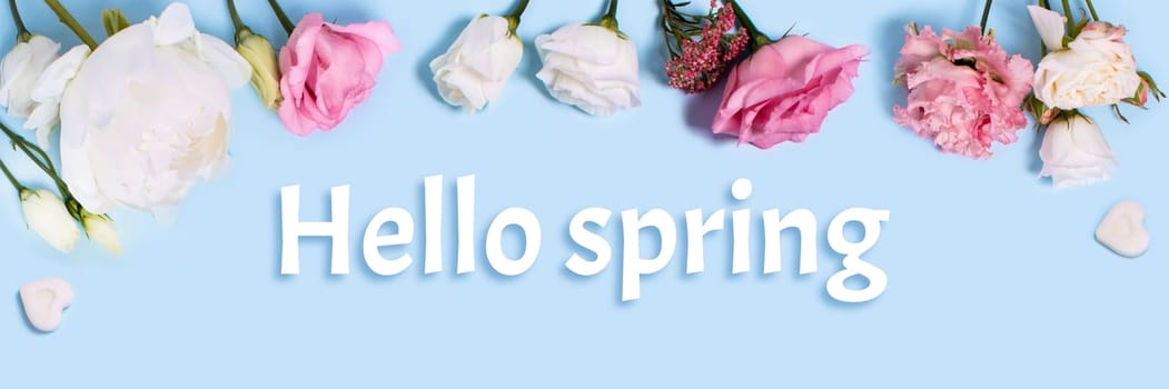 Web banner with roses, ranunculus, and pieces of sugar in the form of hearts and the inscription Hello Spring