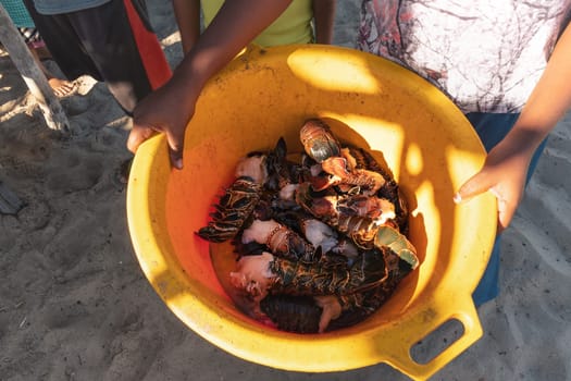 Local woman showing yellow plastic bowl with freshly caught crustacean seafood - crabs, langostino and lobster. Fishing is one of main sources of food in Madagascar