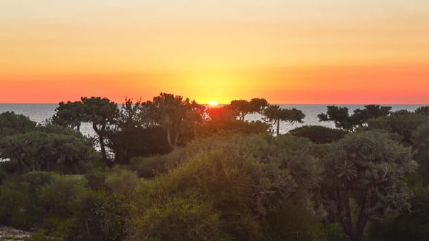 Setting sun with sky coloured orange and pink on tropical island, calm sea at distance, jungle forest in foreground