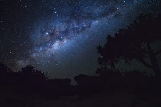 Night sky with Milkyway galaxy over trees silhouettes as seen from Anakao, Madagascar