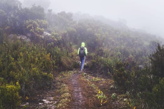 View from behind - lone hiker in bright green jacket during trek to Pic Boby aka Imarivolanitra in Andringitra National Park, on early foggy morning. It is highest accessible peak of Madagascar