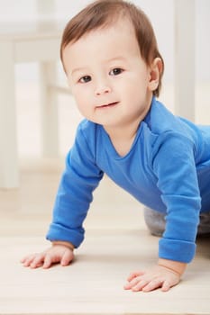 Playful, crawling and portrait of baby on floor for child development, learning and youth. Young, curious and adorable with infant kid on ground of family home for growth, progress and milestone.