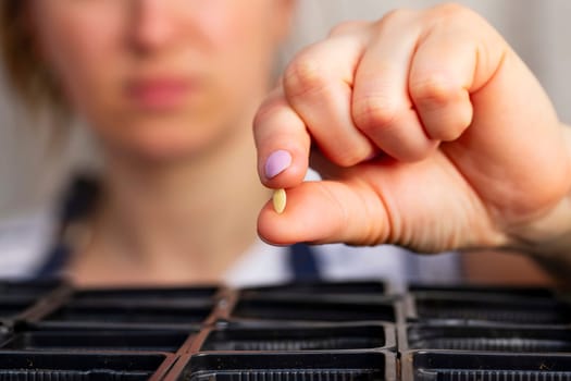 Woman hold a small seed ready for sowing in a pot with soil at home. Gardening and botanical concept