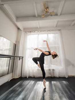 A beautiful Asian woman is dancing at the barre. Ballet dancer