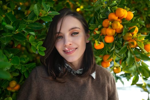 Young adult woman stands and smiling in tangerine tree. An ordinary girl standing by ripe tangerine tree. Female smailing under mandarine fruits close-up and looking at camera