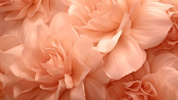 Close-up of peonies flowers in the 2024 color Peach Fuzz. High quality photo