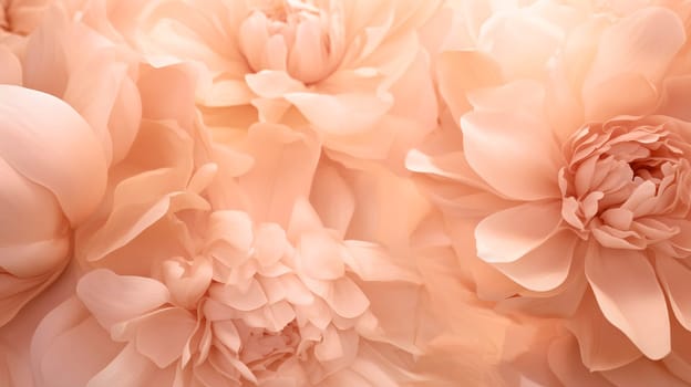 Close-up of peonies flowers in the 2024 color Peach Fuzz. High quality photo