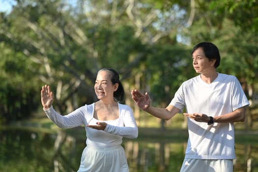 Senior couple doing Qigong exercises in a wellness class at the park. Healthy lifestyle concept