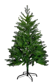 Bare Christmas tree without decoration