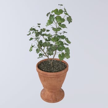 Flowerpot isolated on white background. High quality 3d illustration