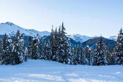 Winter view on mountains and forest in snow from Olympic village in Wistler, BC