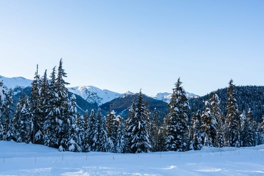 Winter view on mountains and forest in snow from Olympic village in Wistler, BC