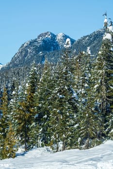 View on winter forest and mountains in snow from Olympic village in Wistler, BC