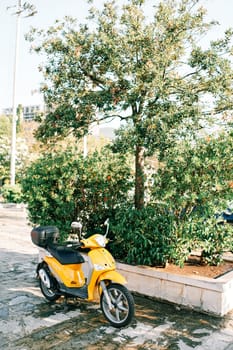 Yellow moped is parked near a stone flowerbed with a green tree. High quality photo