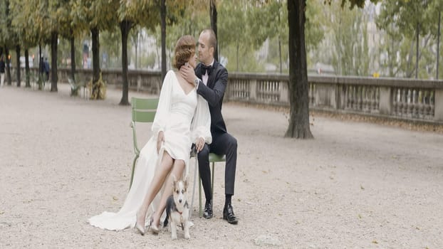 A tender photo shoot of the newlyweds with a dog. Action. A beautiful girl in heels with a white dress and her husband are sitting on a bench with a dog in the yard. High quality 4k footage