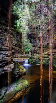 Hidden in a rock canyon, a secret paradise awaits, with a mesmerizing waterfall, lush green foliage, and magical hanging roots. Ideal for nature lovers and landscape enthusiasts.