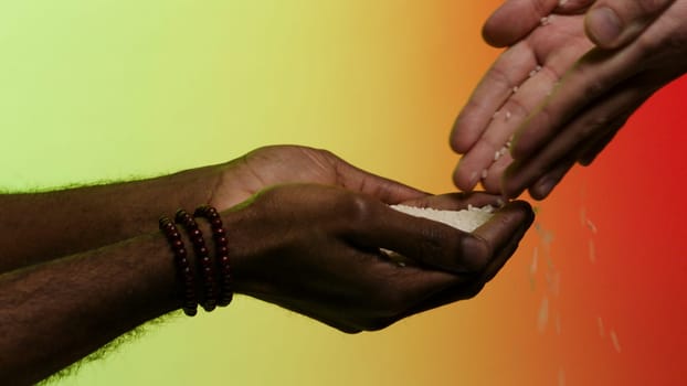 Close up for hands giving white Jasmine rice, isolated on red and yellow background. White man gives a helping hand by passing rice to afroamerican, hands isolated on bright background.