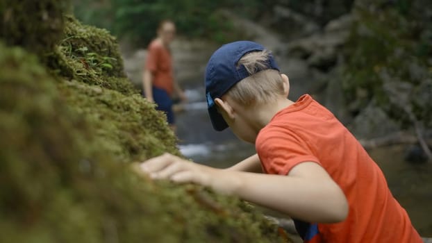 Concept of travelling. Creative. Rear view of a young boy in a summer forest walking carefully by the river stream and touching mossy mountain slope