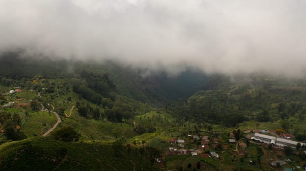 Farmhouses among tea plantations on the slopes of the mountains. Sri Lanka.