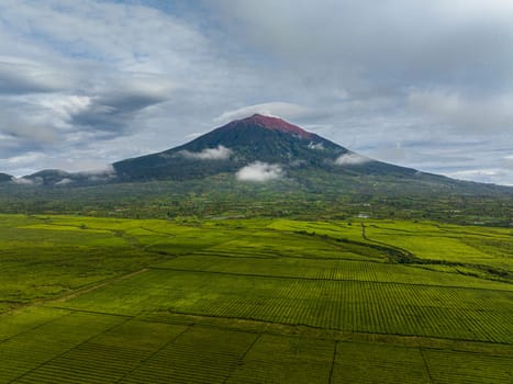 Aerial view of tea plantations at the foot of the Kerinci volcano. Tea estate landscape. Sumatra, Indonesia.