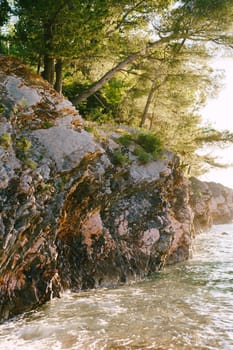 Sea waves roll on a rock with green trees. High quality photo