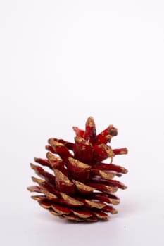 new year's red cedar cone on a white background.