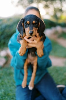 Large puppy in the arms of a young woman sitting on the grass. High quality photo