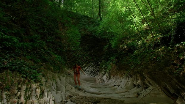A stony path in a forest on a sunny day. Creative. Woman walking in beautiful dense forest and a wide path