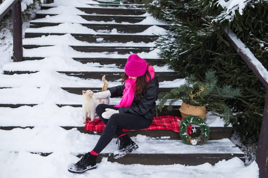 A woman holds and strokes a white fluffy cat near a Christmas tree. A pet enjoys affection and attention. New Year's magical atmosphere of coziness, love and warmth