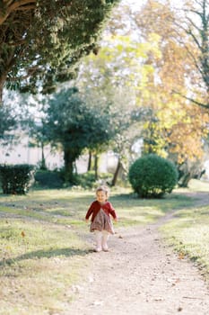 Smiling little girl walks along a dirt path in an autumn park. High quality photo