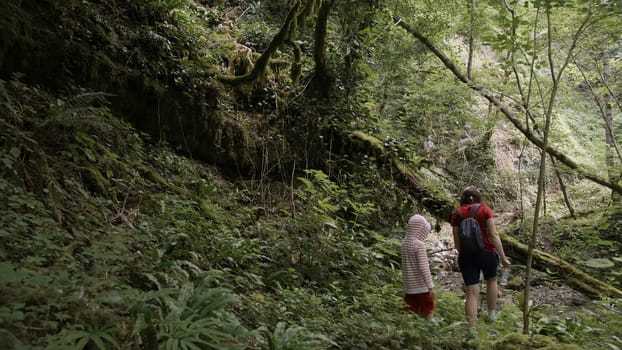 People in gait. Creative. Tourists walking in nature around plants and rivers with incredible landscapes. High quality 4k footage